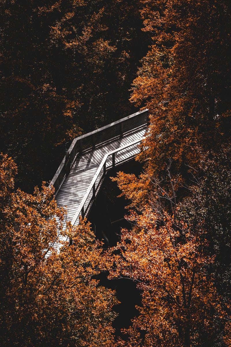 Mindfulness Meditation